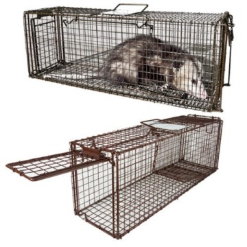 metal chinchilla cage