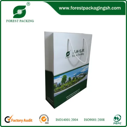 CUSTOM PRINT PAPER BAG FP472728