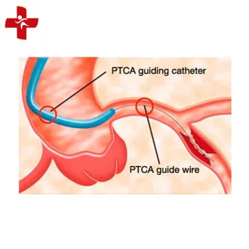 PTCA Guide Wire PTCA line