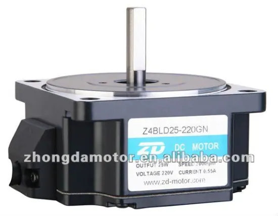 12V,24V, 220V DC brushless motor