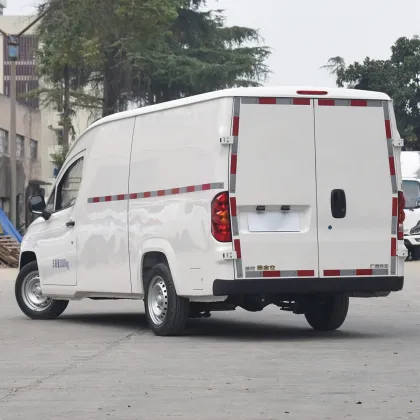 Lingshi Golden Warehouse Van