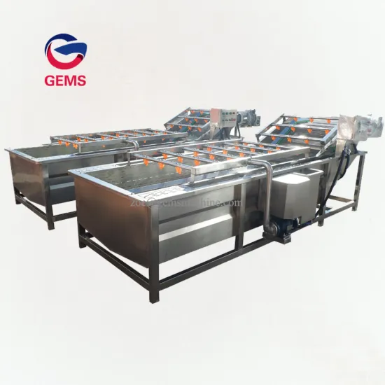 Turmeric Washing & Peeling Machine Turmeric Cleaning Machine