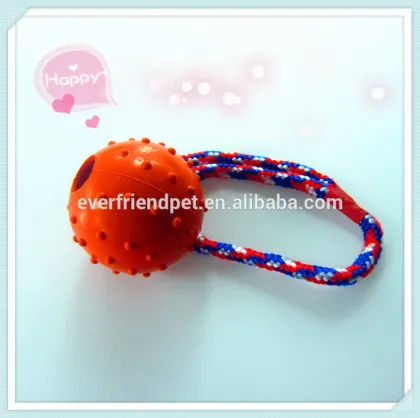 Eco-friendly dog training supplies