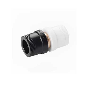 Water Supply HDPE To PPR Dual Union Adapter