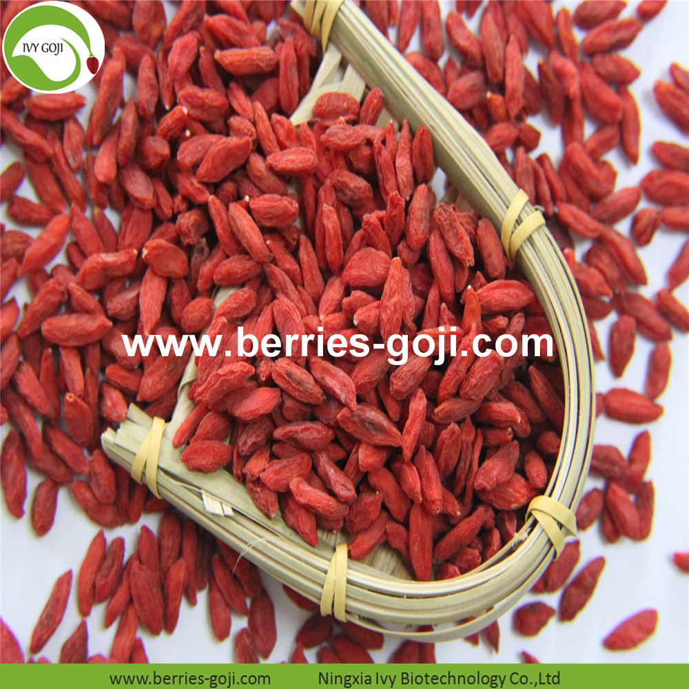 Goji berry