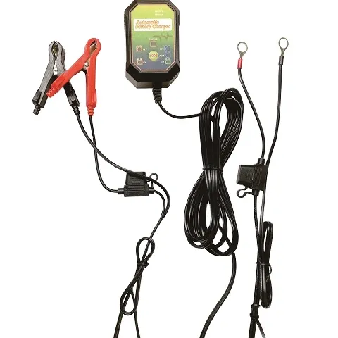 Lithium Ion Battery 12V and 6V Chargers