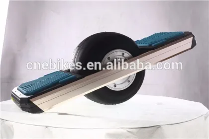 Electric Powered Skateboard 750W Outdoor Sports