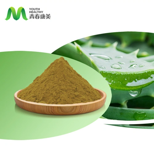 Aloe Vera Extrakt Pulver China Fabrikant