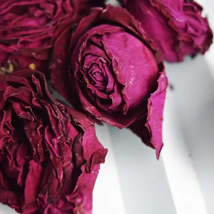 Premium Chinese Rose Herbal Tea