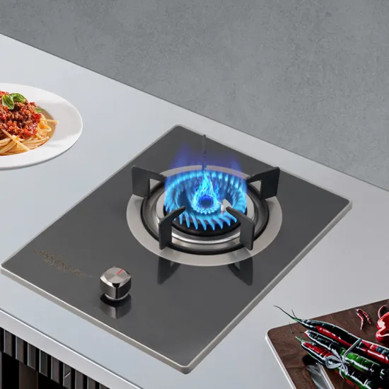 High Quality Eco-friendly Single Rotate Flame Biogas Burner Stove