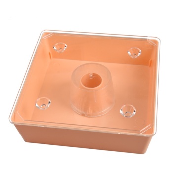 Cross-Border Market Expansion: Discover the Latest European Square Feeder, Beehive Water Feeder, and Beekeeping Tools for Your Apiary