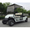 Carro de golf eléctrico de 2 plazas con caja de carga