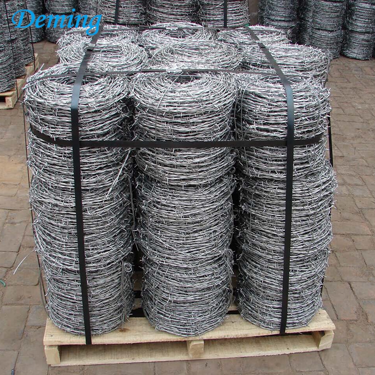 Direct Sale Hot Dip Galvanized Barbed Wire