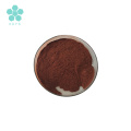 Natural Antioxidant Maritime Pine Extract OPC Powder