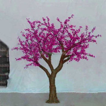 Guida all'albero dei fiori di ciliegio