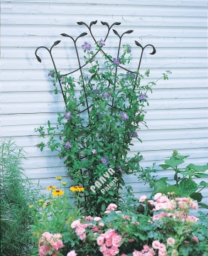 Forged Fan Trellis with Leaves