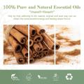 Natural Pure Cinnamon Leaf Bark Extracto esencial de aceite de canela en venta