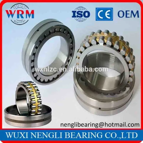 Double row short cylindrical roller bearing