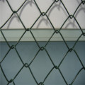 PVC rivestito recinto di collegamento chain verde scuro