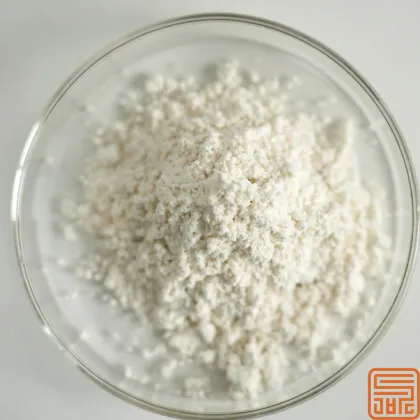 Natural Sophora Japonica Extract Genistein 98%
