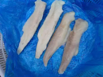 Good Fresh Frozen Monkfish Products