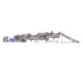 Root Vegetable Processing Line for food industry