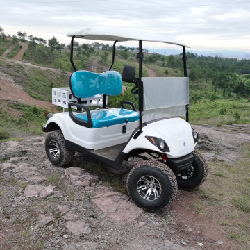 Venda carrinho de golfe a gás de 2 lugares 300cc