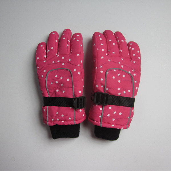 Ski Gloves