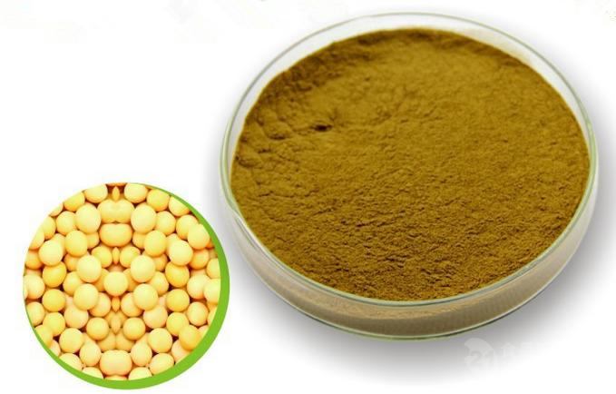 Soybean Extract powder