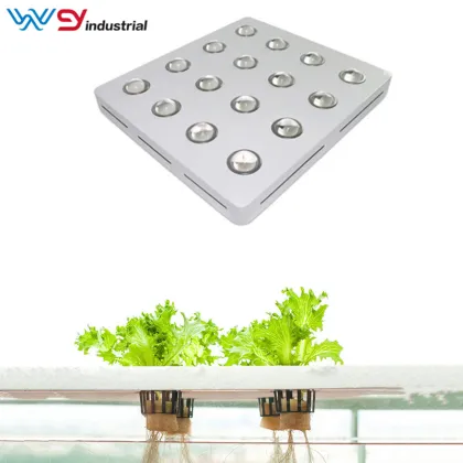 3200W led grow lights vs sunlight