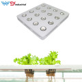 WENYI wholesale best selling 640w led grow light