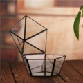 Modern Tabletop Window Sill Decor Flower Pot Balcony Planter Diy Display Box Black Glass Geometric Terrarium