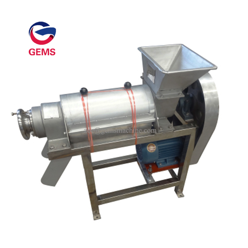 Ginger Juice Processing Machine Juice Maker Machine