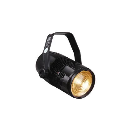 GENI Series LED Fresnel Spotlight