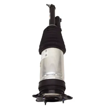 BAINEL Rear Right Adaptive Air Spring for TESLA Model S 2016-2021 OE 1066466-00-D