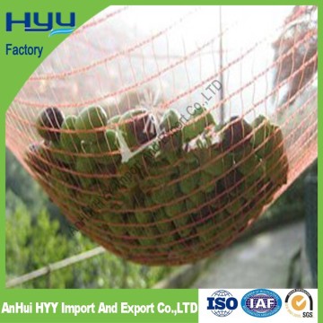 green hdpe UV fruit protection net olive net fruit net