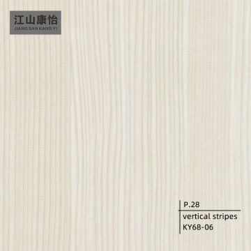 Porte décorative PVC bande verticale