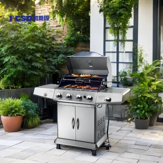 Operation Safety Gas Charcoal Dual Use Barbecue Grill Energy Saving BBQ Gas Grill for Picnic Traveling