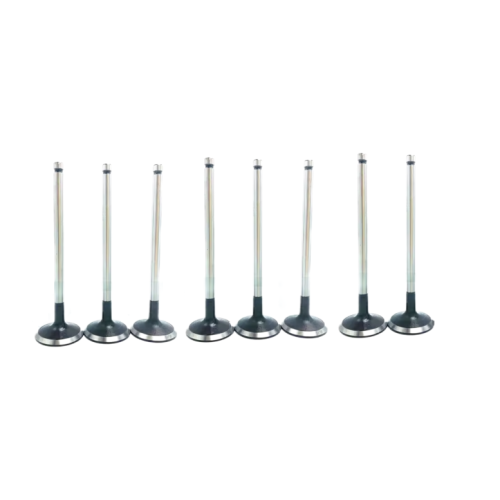 24102863 Потребление клапана