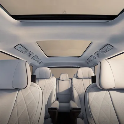 Top Selling China Auto: Denza D9 Pure Electric & Hybrid Cars
