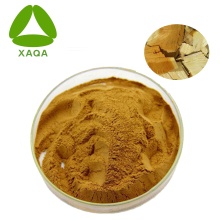 Bitter Wood Extract Powder 10:1