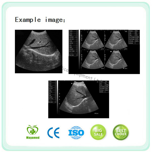 Mak600V Veterinary Ultrasound Scanner