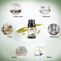 Wholesale organic Eucalyptus Essential Oil for Aroma massage