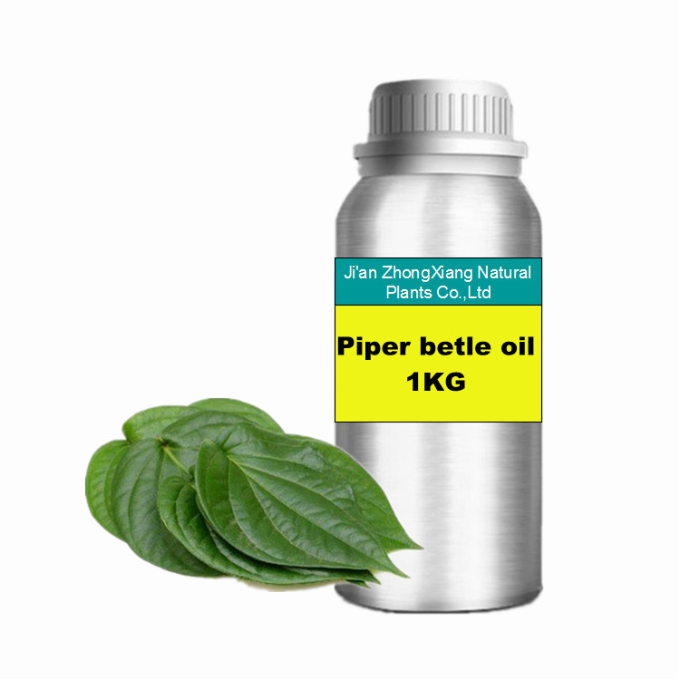 Pure natural piper betle essential oil