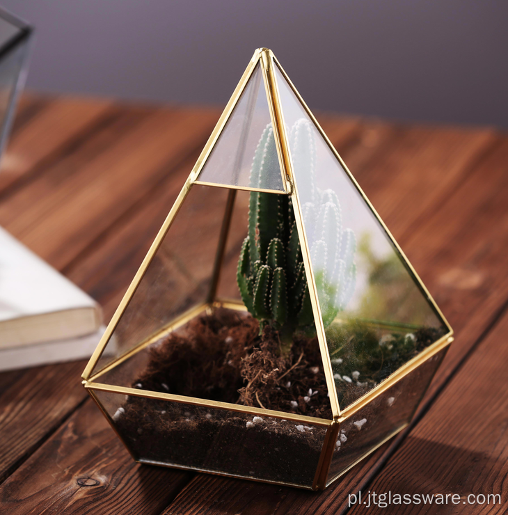 Soczyste geometryczne szklane terrarium na złote wesele