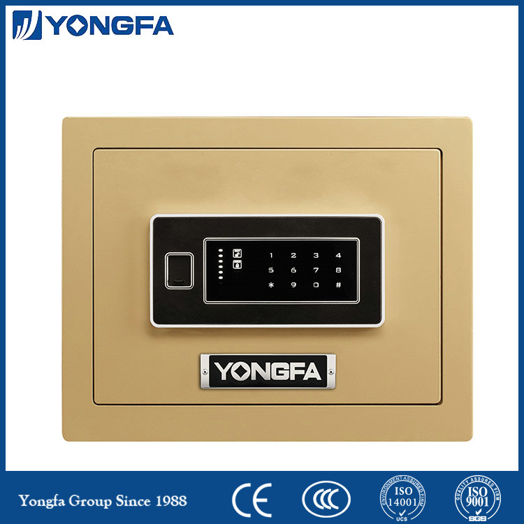 Electronic safe for home