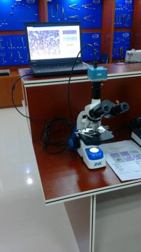 USB digital binocular blood microscope manufacturer