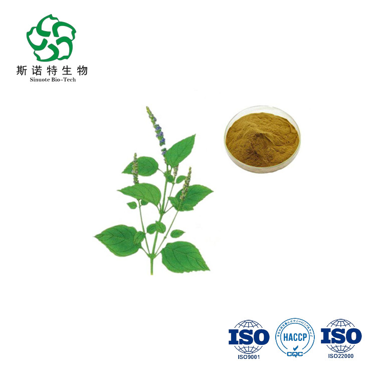 Pure Agastache Rugosus Extract