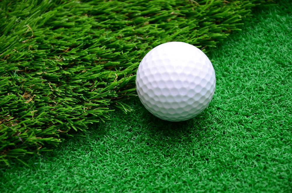  GP75300B Putting Green (6)