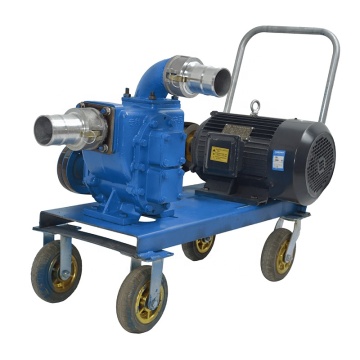 Horizontal Slurry Pump for Industrial Dirty Water and Automatic Sewage Pumps